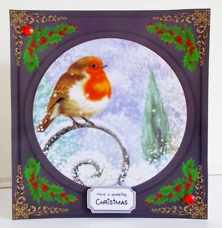 3 Beautiful Christmas robin with black frame card fronts/toppers 5 by Pam Stubley