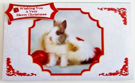 Rabbit In A Christmas Hat - Money Wallet by Pam Stubley