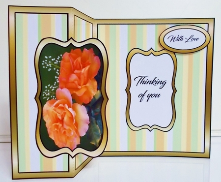 FB orange roses by Pam Stubley