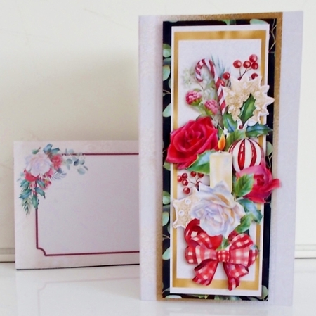 Beautiful Winter 3 DL  Card & Envelope Kit by Pam Stubley