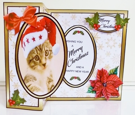 FB Christmas Kitty by Pam Stubley
