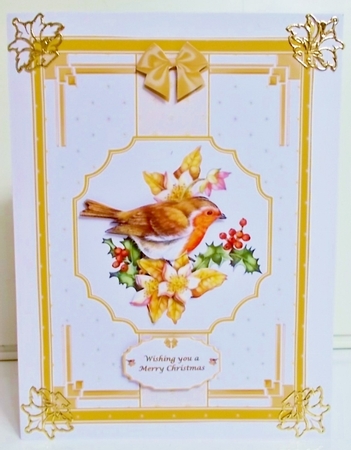 A5 robin step by step card front by Pam Stubley