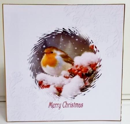 Christmas Red Robin matching 7x7ins Insert 1 by Pam Stubley