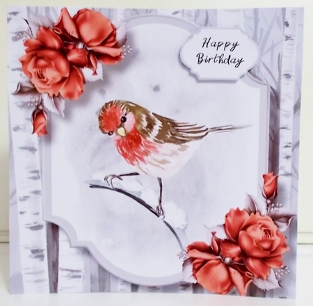 Watercolour Winter Bird Birthday 4 8x8 by Pam Stubley
