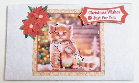 Kitty Lights - Money Wallet by Pam Stubley