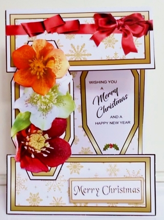Open front Christmas Roses by Pam Stubley