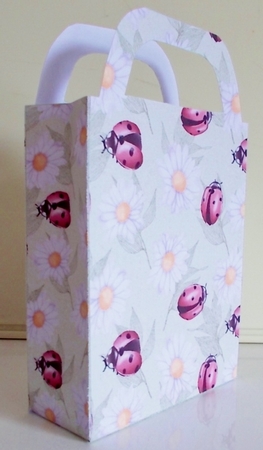 Daisy and ladybird gift bag 1 by Pam Stubley