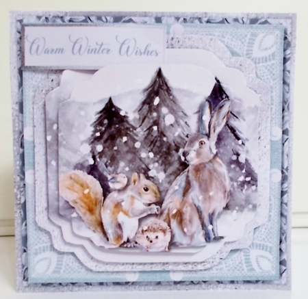 Winter Frost 5 5.5 x5.5 Pyramage Card front and Inserts Mini Kit by Pam Stubley
