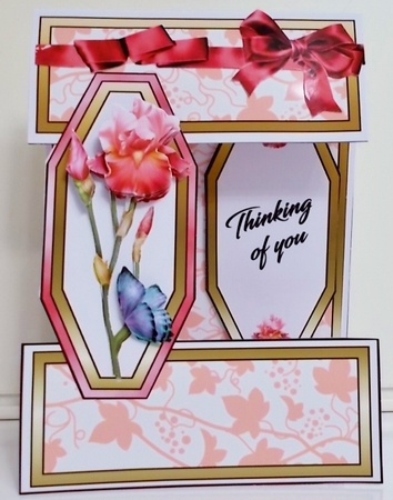 Open front Pink Irises GWS by Pam Stubley