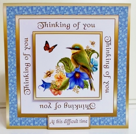 SC Summer bird by Pam Stubley