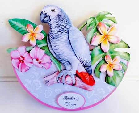 AFRICAN GREY ROCKER CARD by Pam Stubley