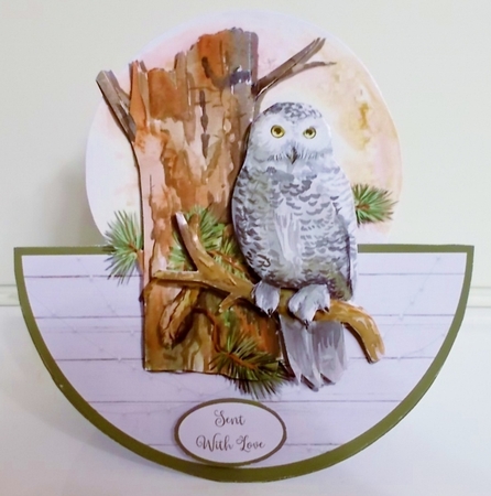 OWL MOON ROCKER CARD by Pam Stubley