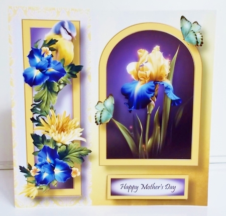 Floral Arched Frame - Spring Iris 8x8 by Pam Stubley