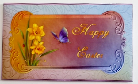 Easter Daffodils Money/Gift Wallet by Pam Stubley