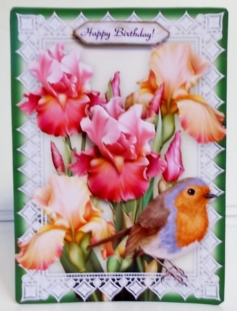 Iris, Lace & Robin - 5 x 7 Card Kit With Decoupage, Insert, Envelope & Masses Of Tags by Pam Stubley