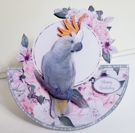 PRETTY BIRD 3 rocker card by Pam Stubley