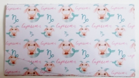Zodiac Capricorn Money Envelope  by Pam Stubley