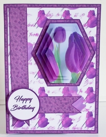Hex Purple Tulips by Pam Stubley