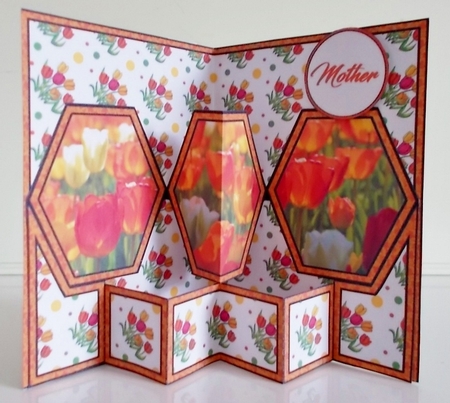 Hex Orange Tulips by Pam Stubley