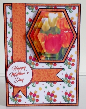 Hex Orange Tulips by Pam Stubley