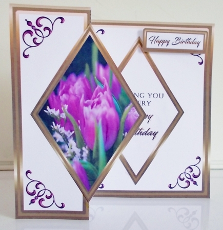 DFB Purple tulips by Pam Stubley
