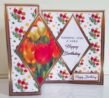 DFB Orange tulips by Pam Stubley