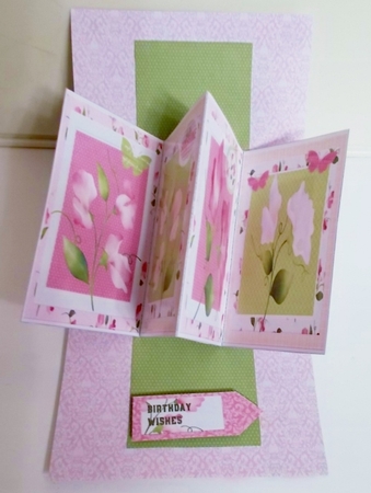 SWEET PEA ALL OCCASIONS TWIST & POP CARD KIT by Pam Stubley
