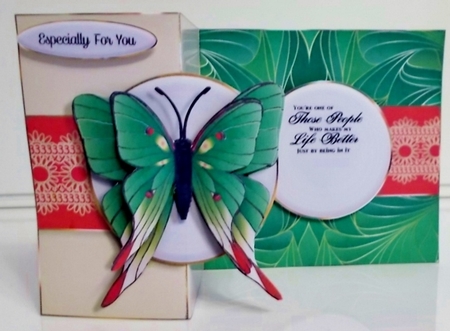 Butterfly Fold Back Mini Kit-4 by Pam Stubley