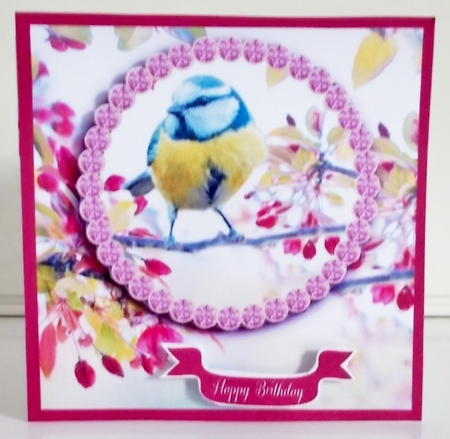 Jewelled Blue Tit 5.5 inch Square Card by Pam Stubley