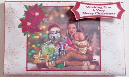 Effies Christmas - Money Wallet by Pam Stubley