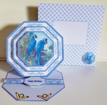 Hyacinth macaws octagonal easel card with matching envelope by Pam Stubley