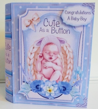 Cute as a Button Baby Boy - Large 3D Curiosity Book Box by Pam Stubley