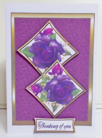 Two Squares Purple roses by Pam Stubley
