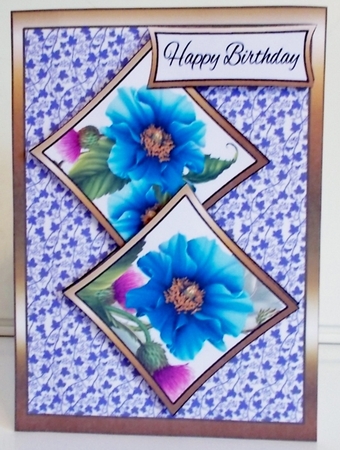 Two Squares Blue poppies by Pam Stubley