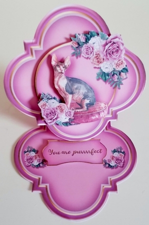 Rosie Cat Easel 1  by Pam Stubley