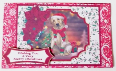 Sweet Christmas Dog - Money Wallet by Pam Stubley