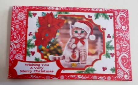 Kitty Baubles - Money Wallet by Pam Stubley