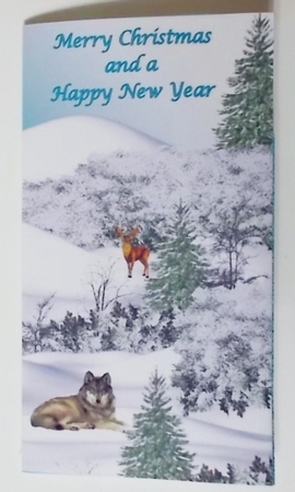Winter scene money wallet by Pam Stubley
