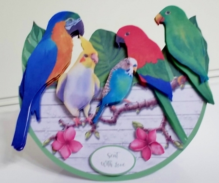 TROPICAL BIRDS rocker card by Pam Stubley
