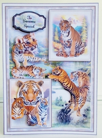 On The Wild Side Bumper Mini Page Kits by Pam Stubley