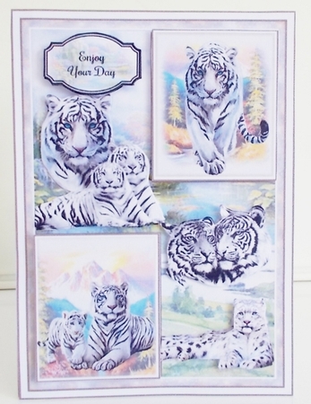 On The Wild Side Bumper Mini Page Kits by Pam Stubley