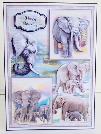 On The Wild Side Bumper Mini Page Kits by Pam Stubley