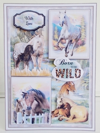 On The Wild Side Bumper Mini Page Kits by Pam Stubley
