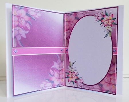 A5 Beautiful Lady Blank Insert  by Pam Stubley