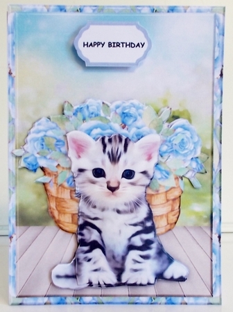 A5 Cute Kitten by Pam Stubley