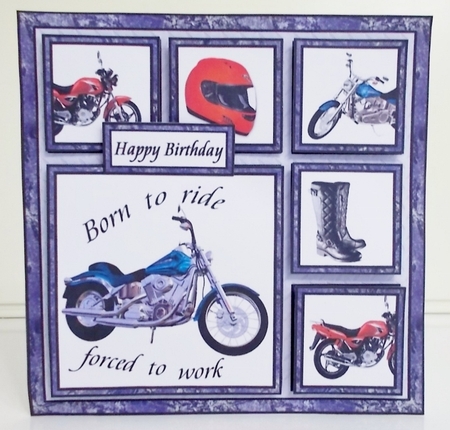 Sampler Born to ride by Pam Stubley