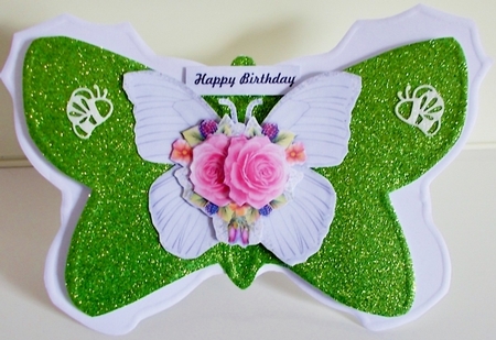 Bumperkit butterflies by Pam Stubley