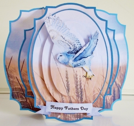 Pop Out-OWL by Pam Stubley