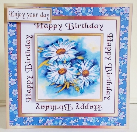 SC Daisies by Pam Stubley