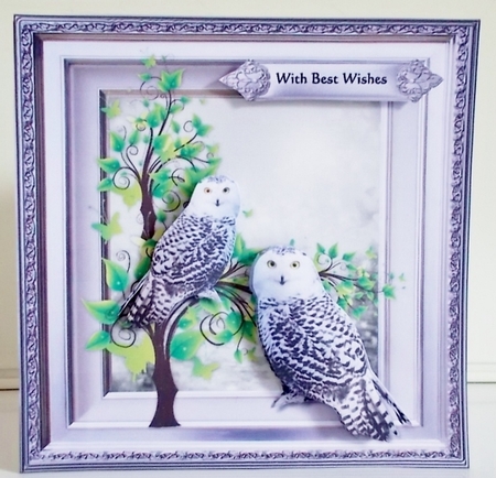 Wise Owls Mini Kit 7x7 by Pam Stubley